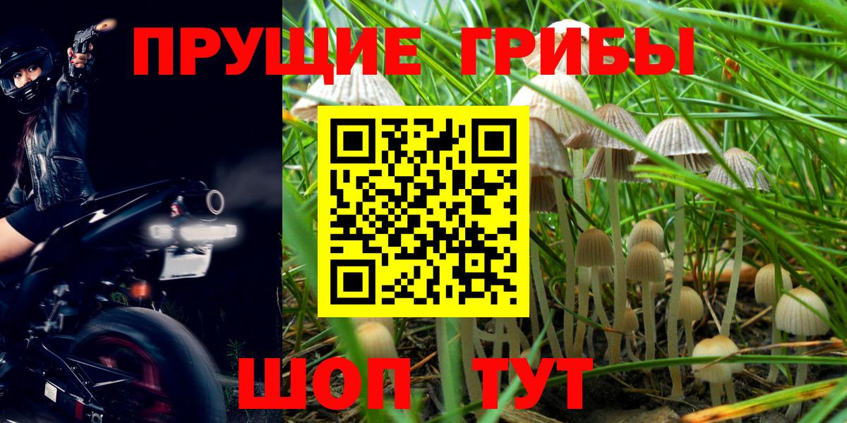 Псилоцибиновые грибы мухоморы  Вход с VPN  Десногорск 